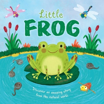 Board book Nature Stories: Little Frog-Discover an Amazing Story from the Natural World: Padded Board Book