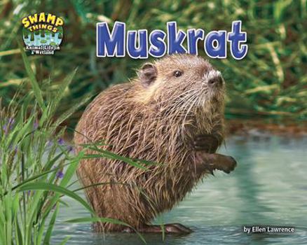 Muskrat - Book  of the Swamp Things: Animal Life in a Wetland