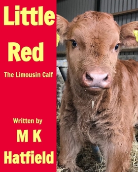 Paperback Little Red: The Limousin Calf Book