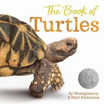 Hardcover The Book of Turtles Book
