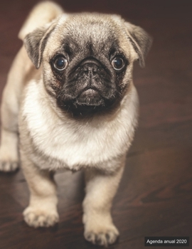 Agenda anual 2020: Agenda anual para 2020, 12 meses, agenda de 52 semanas  con tareas y metas; formato A4+; motivo: Mops (Spanish Edition)