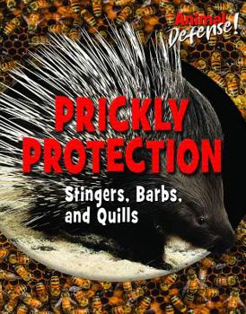 Paperback Prickly Protection: Stingers, Barbs, and Quills Book
