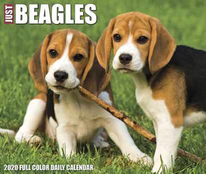 Calendar Just Beagles 2020 Box Calendar (Dog Breed Calendar) Book