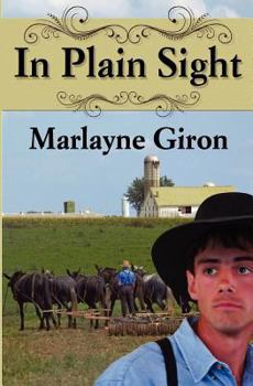 Paperback In Plain Sight Book