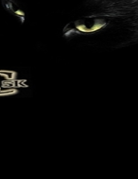 Paperback Scrap Catalytic Converter Guide: Code 5K Book