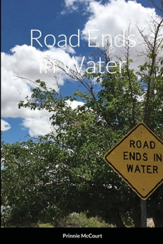 Paperback Road Ends in Water Book