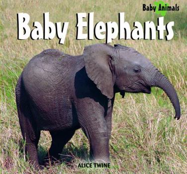 Library Binding Baby Elephants Book