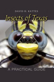 Paperback Insects of Texas: A Practical Guide Volume 39 Book