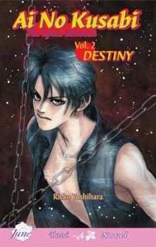 Paperback AI No Kusabi the Space Between Volume 2: Destiny (Yaoi Novel) Book