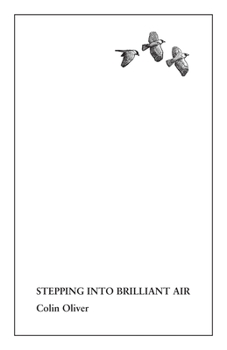 Paperback Stepping Into Brilliant Air Book