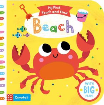 Board book Beach (My First Touch and Find) Book