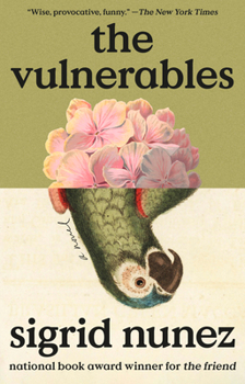 Paperback The Vulnerables Book