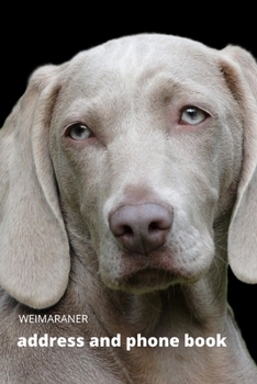 Address and Phone Book: Weimaraner Dog Lover Gift (with discreet password journal section), Organized in Alphabetical Order, Discreet internet