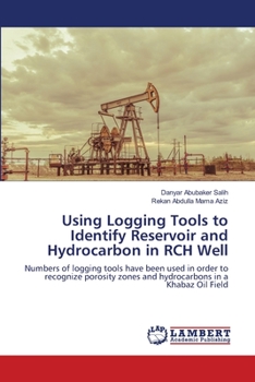 Paperback Using Logging Tools to Identify Reservoir and Hydrocarbon in RCH Well Book