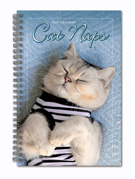 Calendar Cat Naps Book