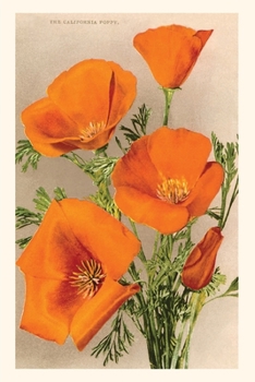 Paperback The Vintage Journal California Poppies Book
