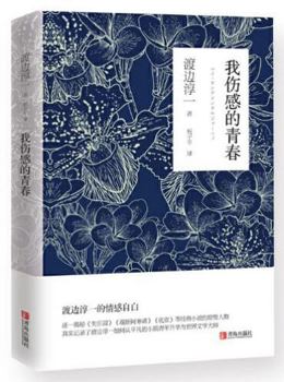 Paperback My Sad Youth (Chinese Edition) [Chinese] Book