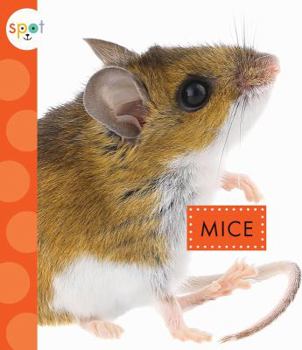 Paperback Mice Book