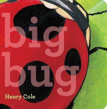 Board book Big Bug Book