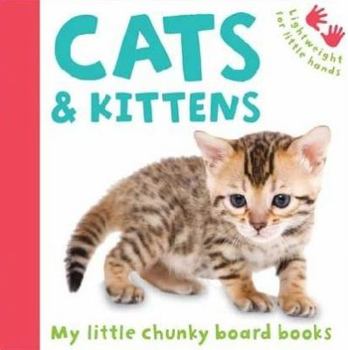 Hardcover Cats and Kittens (100 Things You Should Know About) Book