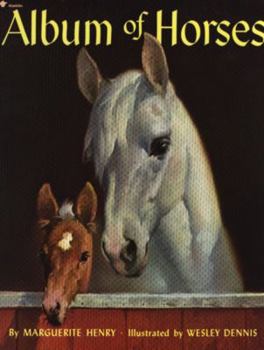 Paperback Album of Horses Book