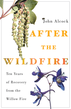 Paperback After the Wildfire: Ten Years of Recovery from the Willow Fire Book