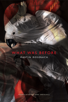Hardcover What Was Before Book