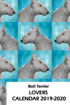 Paperback Bull Terrier Lovers Calendar 2019-2020 Book