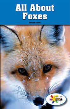 Paperback All about Foxes Book