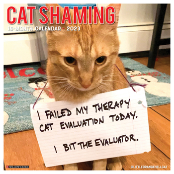 Calendar Cat Shaming 2023 Wall Calendar Book