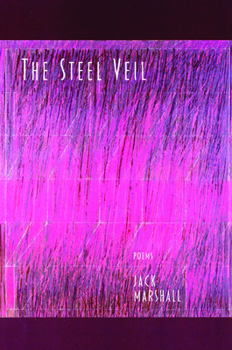Paperback The Steel Veil Book