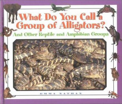 Hardcover Alligators? and Other Reptile and Amphibian Groups Book