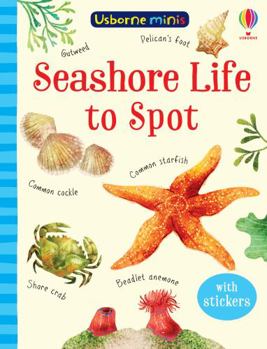 Paperback Seashore Life to spot (Usborne Minis) Book