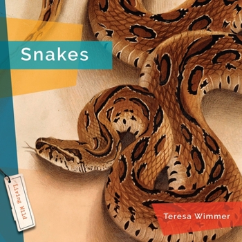 Paperback Snakes Book