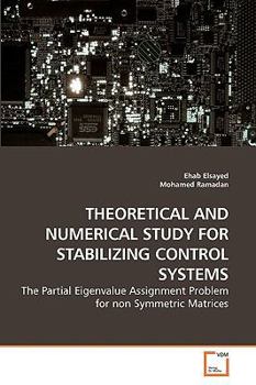 Paperback Theoretical and Numerical Study for Stabilizing Control Systems Book