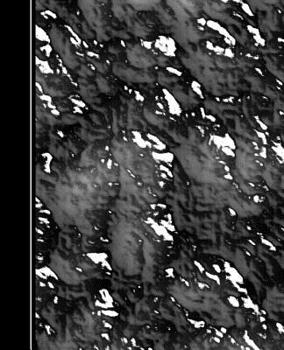 Modern Black White Abstract Design: Diary Weekly Spreads July to December (Academic Planners 2019 - 2020)