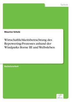 Paperback Wirtschaftlichkeitsbetrachtung des Repowering-Prozesses anhand der Windparks Borne III und Welbsleben [German] Book