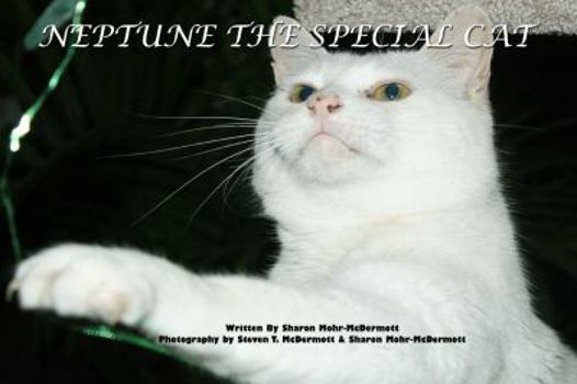 Paperback Neptune the Special Cat Book