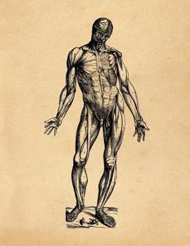 Paperback Anatomy Notebook: Andreas Vesalius - Muscles 19 Premium College Ruled Notebook 110 Pages Book