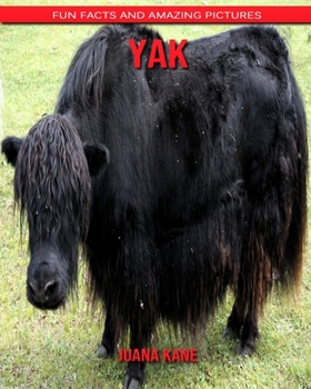 Yak: Fun Facts and Amazing Pictures