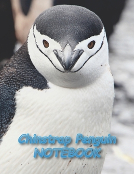 Chinstrap Penguin NOTEBOOK: Notebooks and Journals 110 pages (8.5"x11")