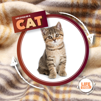 Paperback Life Cycle of a Cat Book