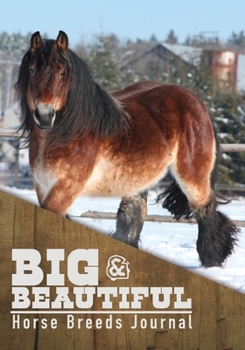 Paperback Big & Beautiful Horse Breeds Journal Book