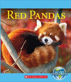 Hardcover Red Pandas (Nature's Children) (Library Edition) Book