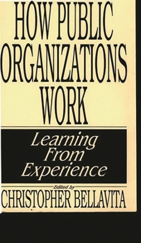 Paperback How Public Organizations Work: Learning from Experience Book
