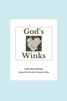Paperback God's Heart Winks Book