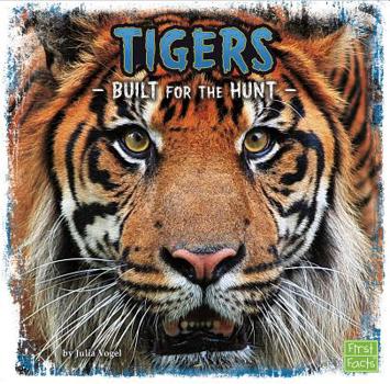 Hardcover Tigers: Built for the Hunt Book