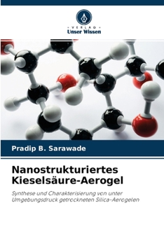 Paperback Nanostrukturiertes Kieselsäure-Aerogel [German] Book