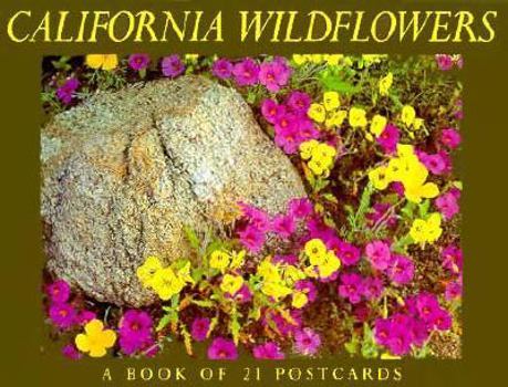 Card Book California Wildflowers Book