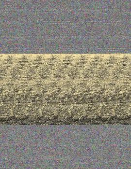 Paperback Born, Not Raised: Voices from Juvenile Hall Book